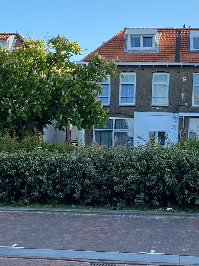 Pension Hendriks Zandvoort Exterior photo